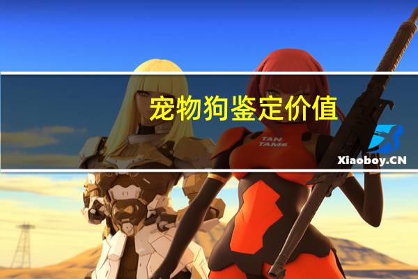 宠物狗鉴定价值
