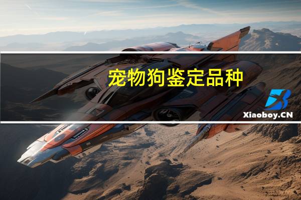 宠物狗鉴定品种