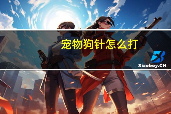 宠物狗针怎么打