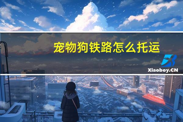 宠物狗铁路怎么托运