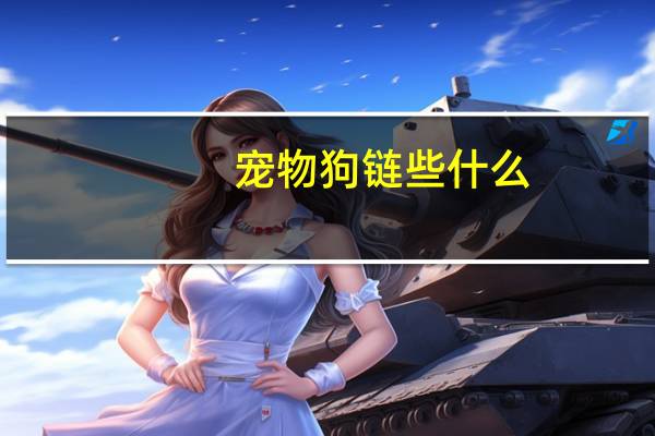 宠物狗链些什么