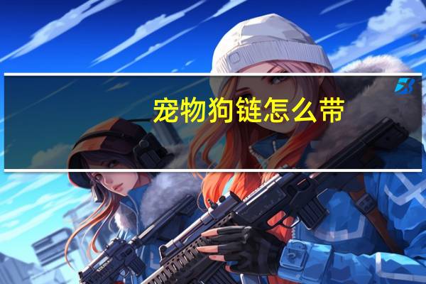 宠物狗链怎么带