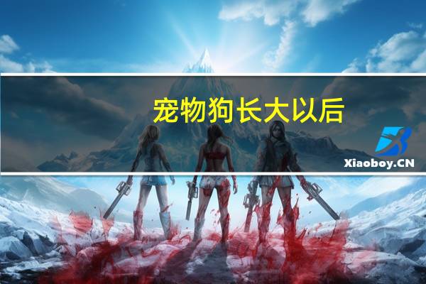 宠物狗长大以后