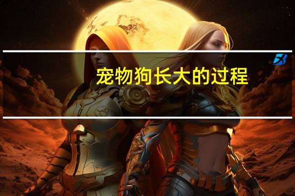 宠物狗长大的过程