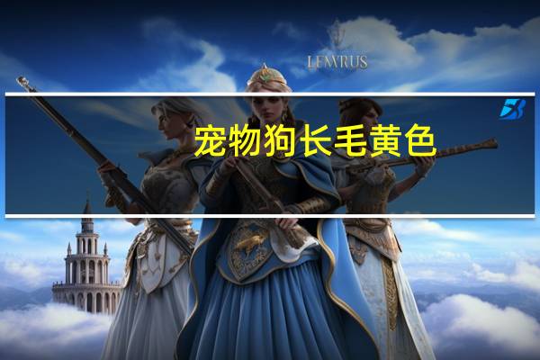 宠物狗长毛黄色