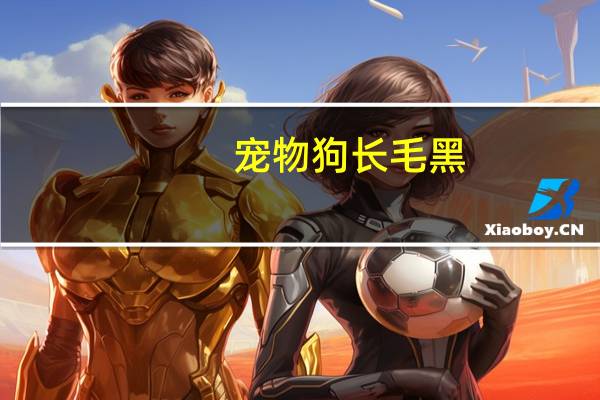 宠物狗长毛黑