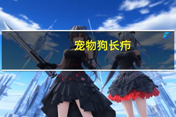 宠物狗长疖