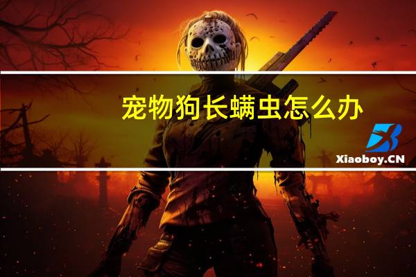 宠物狗长螨虫怎么办