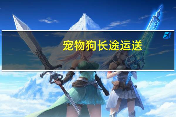 宠物狗长途运送