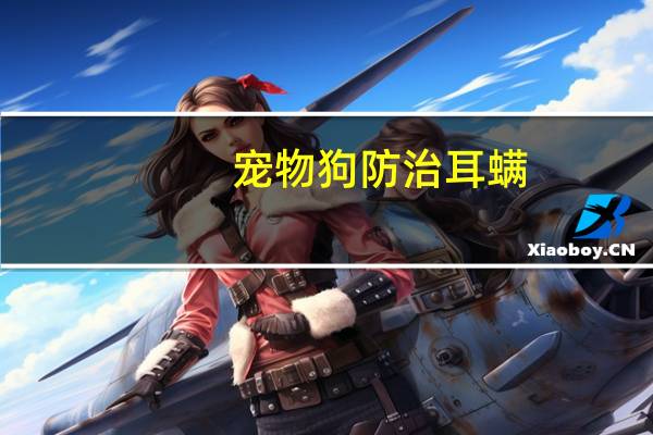 宠物狗防治耳螨