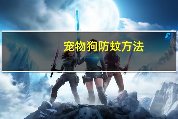 宠物狗防蚊方法