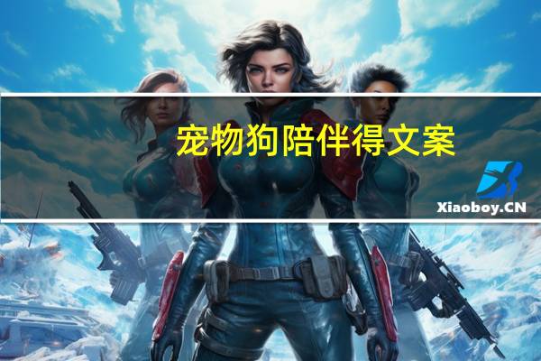 宠物狗陪伴得文案