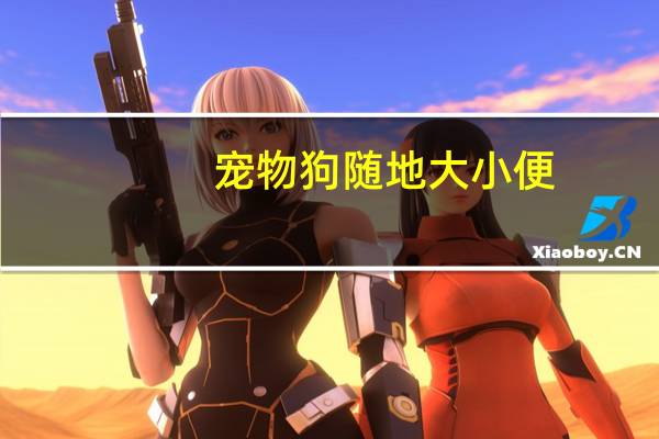 宠物狗随地大小便