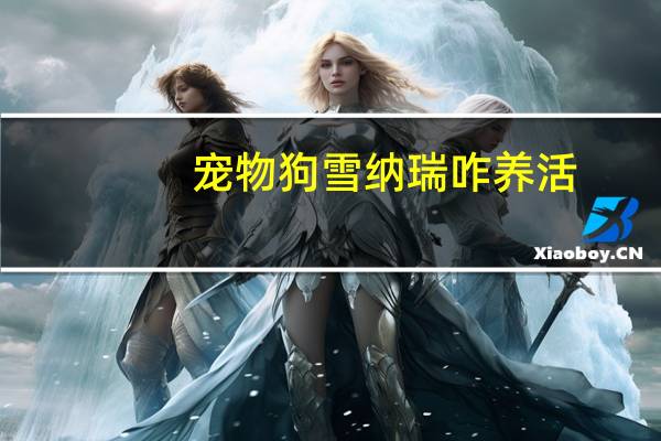 宠物狗雪纳瑞咋养活