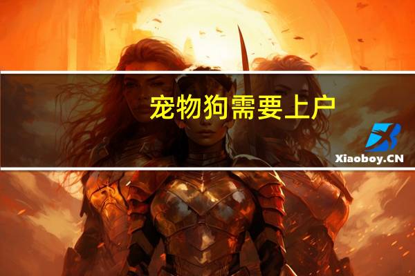 宠物狗需要上户