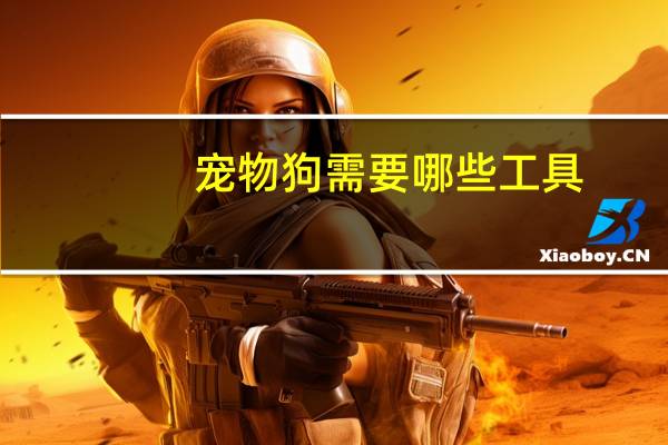宠物狗需要哪些工具