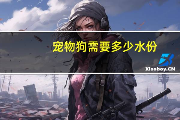 宠物狗需要多少水份
