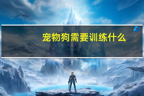 宠物狗需要训练什么