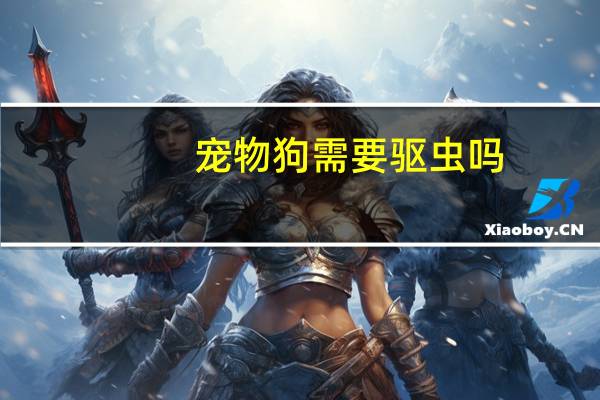 宠物狗需要驱虫吗