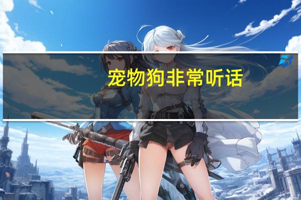 宠物狗非常听话