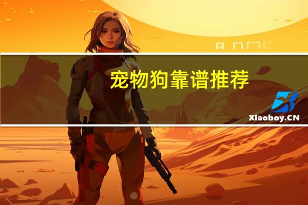 宠物狗靠谱推荐