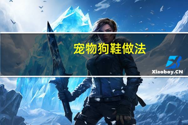 宠物狗鞋做法