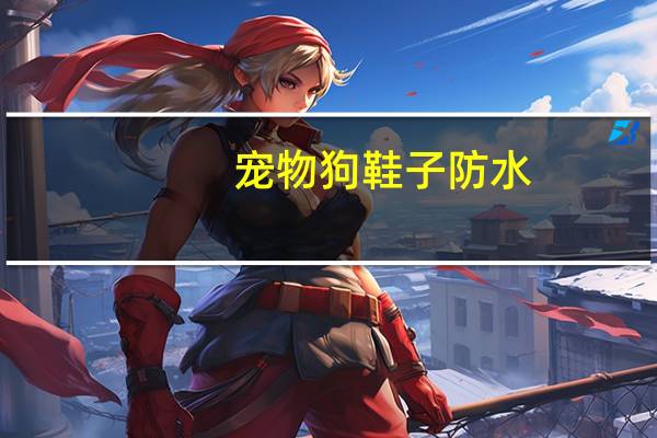 宠物狗鞋子防水