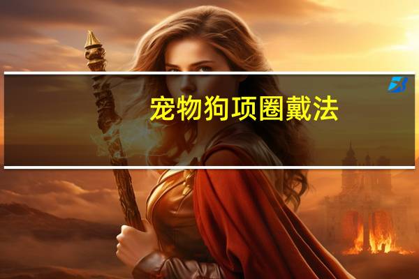 宠物狗项圈戴法