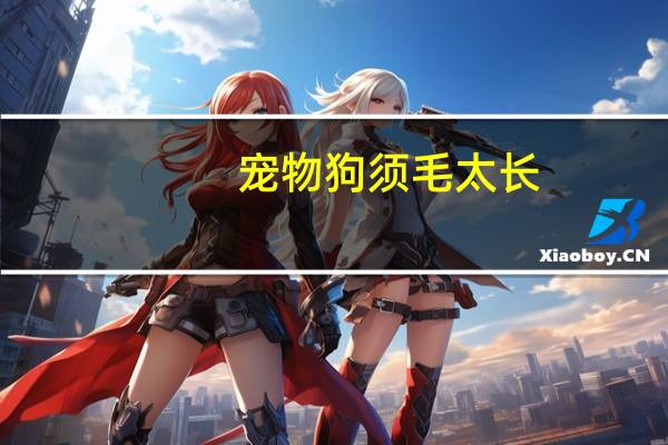 宠物狗须毛太长