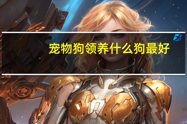 宠物狗领养什么狗最好
