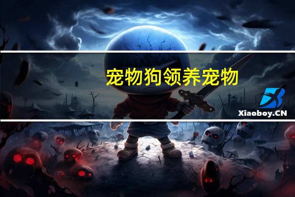 宠物狗领养宠物
