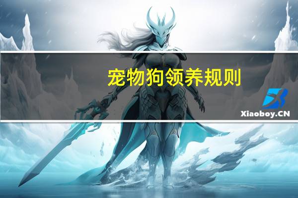宠物狗领养规则