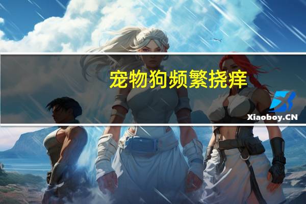 宠物狗频繁挠痒