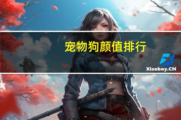 宠物狗颜值排行