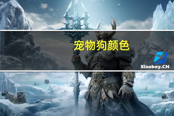 宠物狗颜色