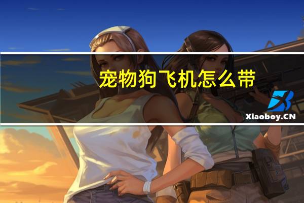 宠物狗飞机怎么带
