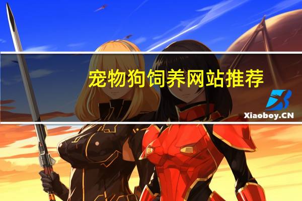 宠物狗饲养网站推荐