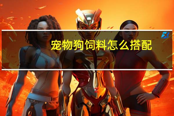 宠物狗饲料怎么搭配