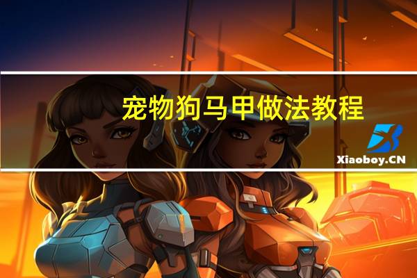 宠物狗马甲做法教程