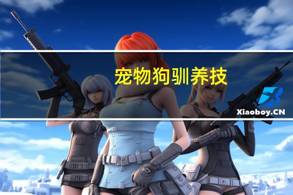 宠物狗驯养技