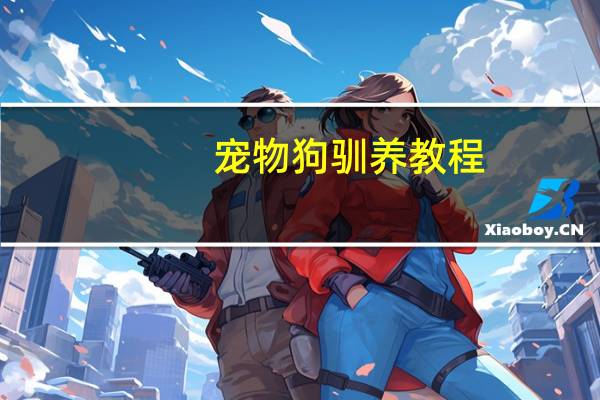 宠物狗驯养教程