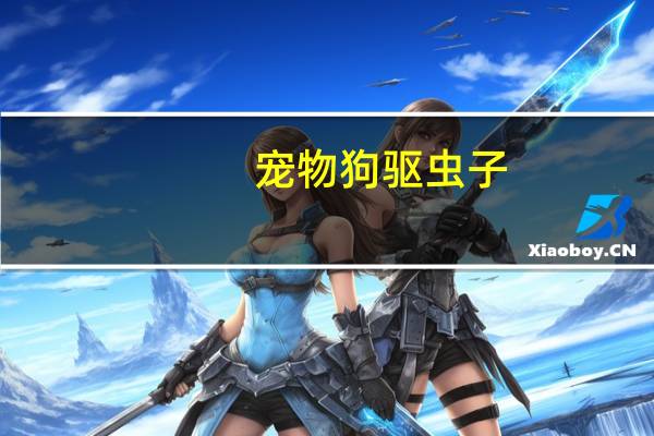 宠物狗驱虫子