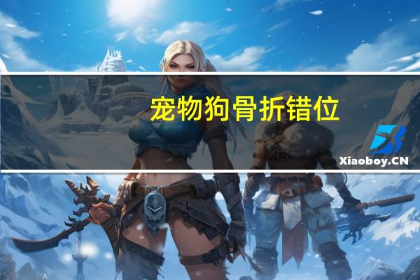 宠物狗骨折错位
