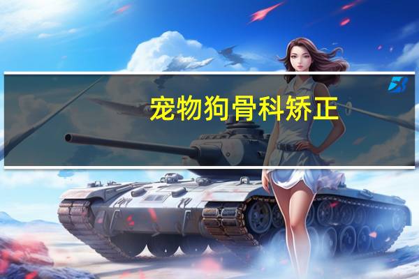 宠物狗骨科矫正