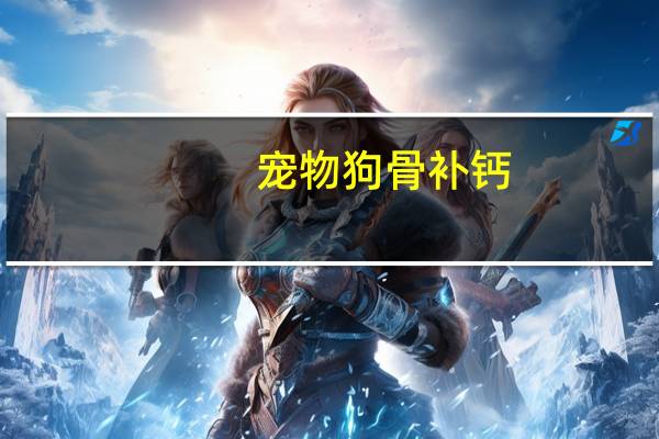 宠物狗骨补钙