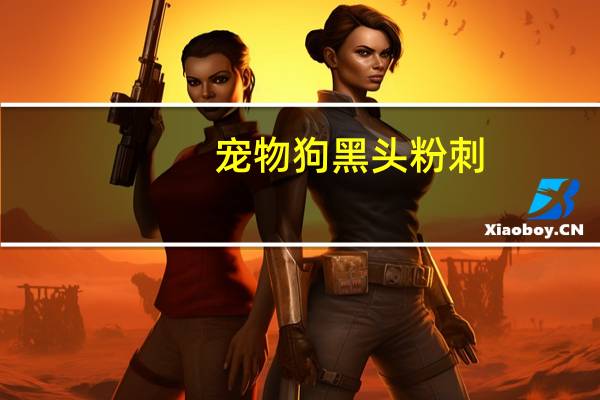 宠物狗黑头粉刺