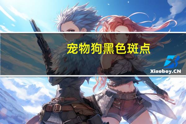 宠物狗黑色斑点