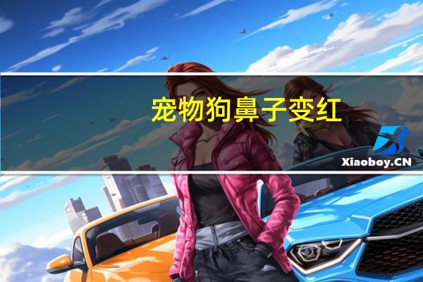 宠物狗鼻子变红