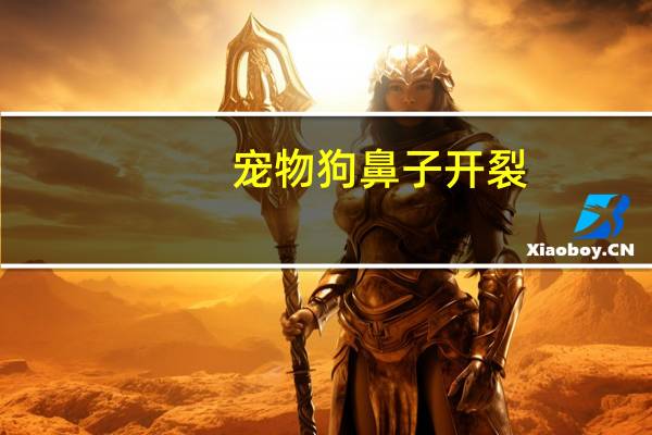 宠物狗鼻子开裂