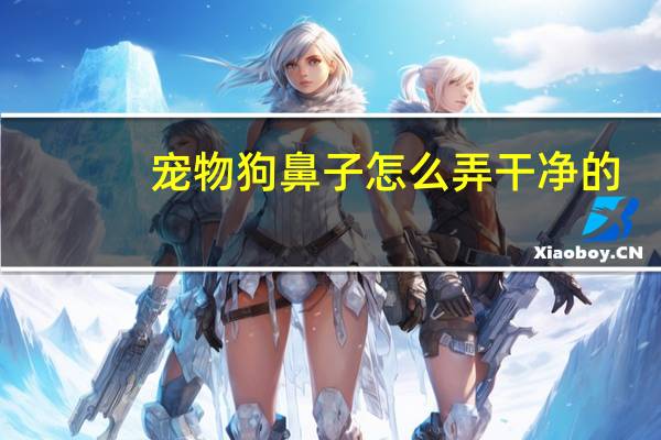 宠物狗鼻子怎么弄干净的